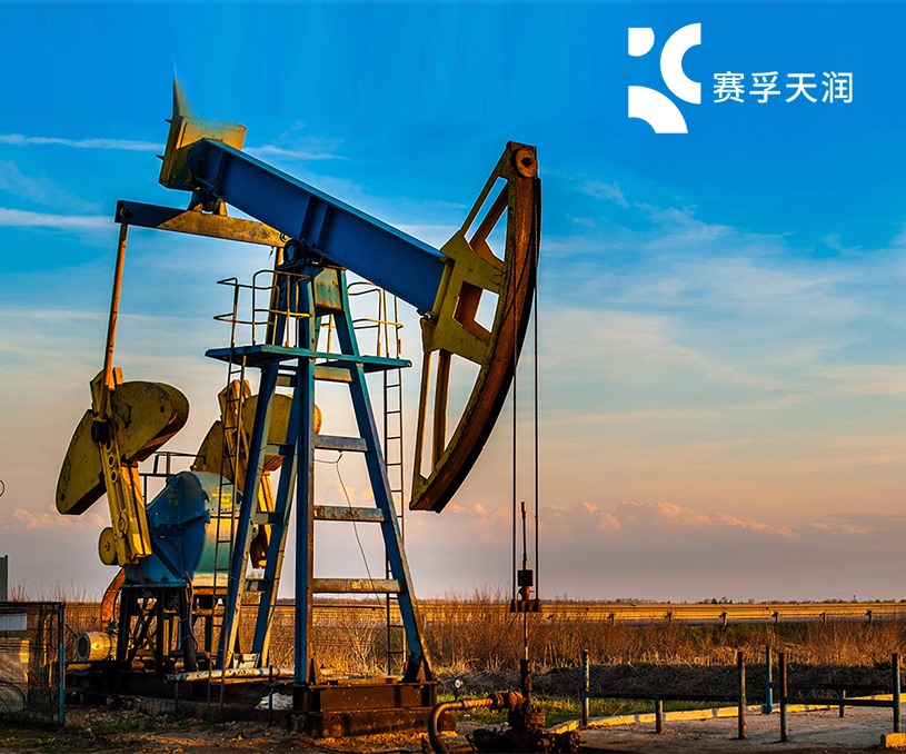 無錫市賽孚石油制品有限公司品牌網(wǎng)站制作開發(fā)建設案例