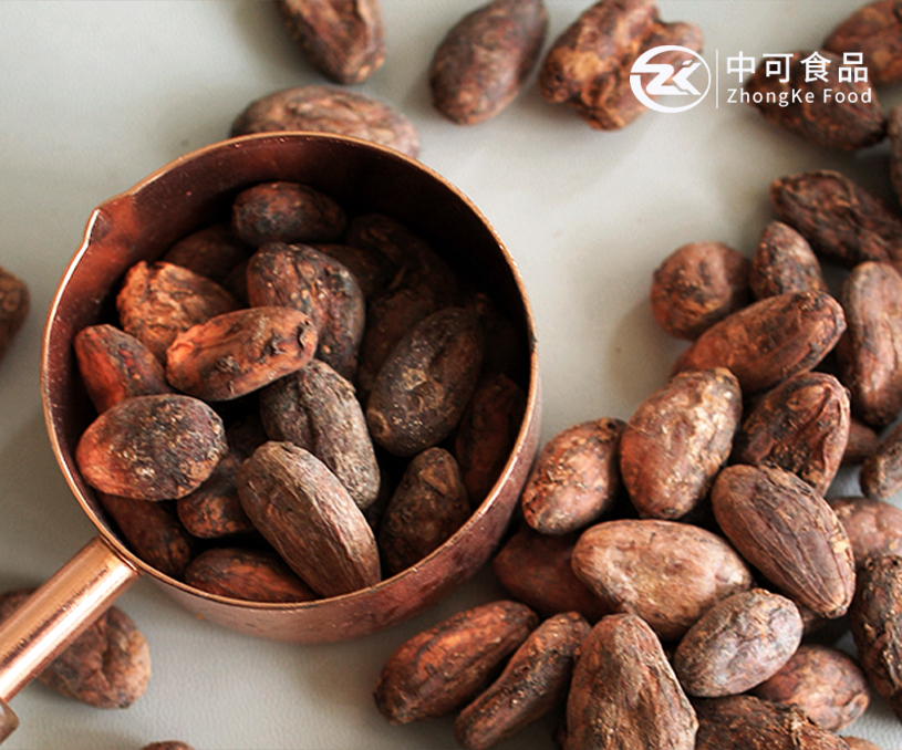 丹陽(yáng)市中可食品有限公司可可粉產(chǎn)品阿拉伯語(yǔ)外貿(mào)網(wǎng)站建設(shè)制作案例