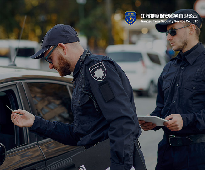 江蘇特察保安服務有限公司企業(yè)官網(wǎng)設計建設制作案例