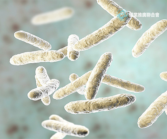 全球鰻業(yè)推廣聯(lián)合會香港企業(yè)官網(wǎng)開發(fā)建設(shè)制作案例