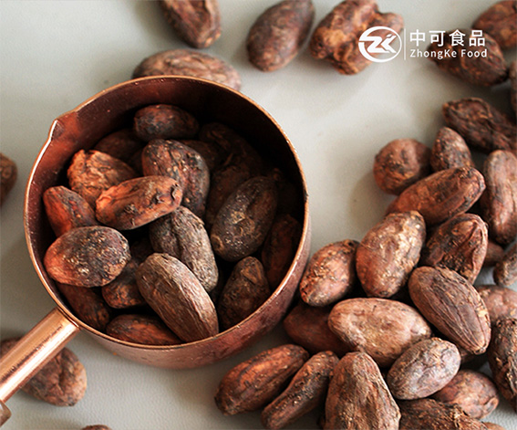 丹陽市中可食品有限公司可可粉產(chǎn)品阿拉伯語外貿(mào)網(wǎng)站建設(shè)制作案例